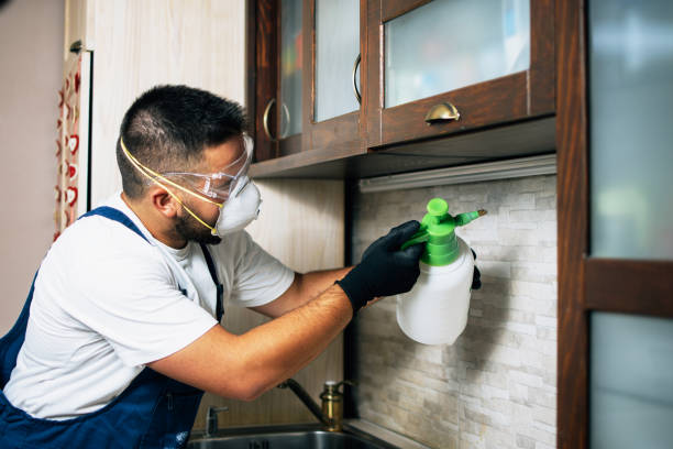 Best Commercial Pest Control Services  in Nicoma Park, OK