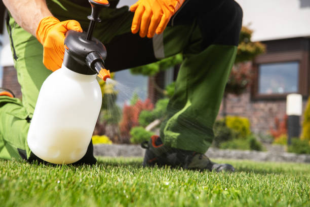 Best Pest Inspection Near Me  in Nicoma Park, OK