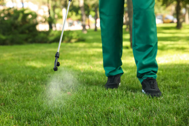 Best Local Pest Control Services  in Nicoma Park, OK