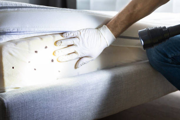 Best Mosquito Control Services  in Nicoma Park, OK