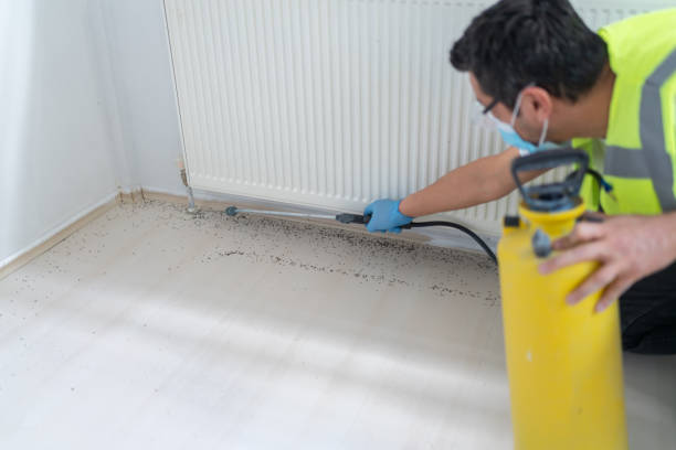 Best Best Pest Control Companies  in Nicoma Park, OK