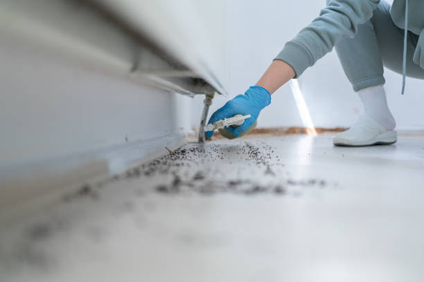 Best Flea Control Services  in Nicoma Park, OK